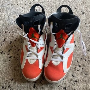 Air Jordan 6